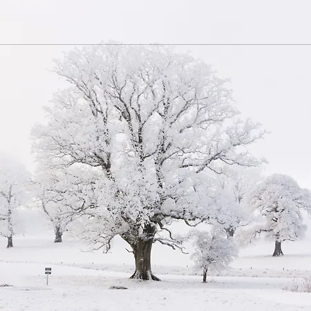 Farnham Estate And Golf 4* Cavan