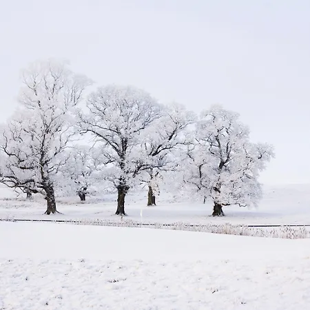 Farnham Estate And Golf מלון קאבן