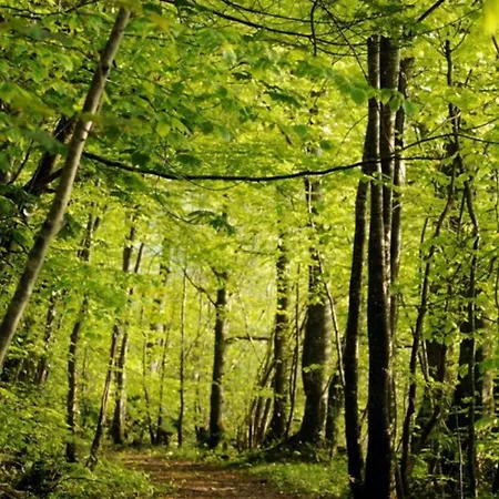 Farnham Estate And Golf Hotel Cavan