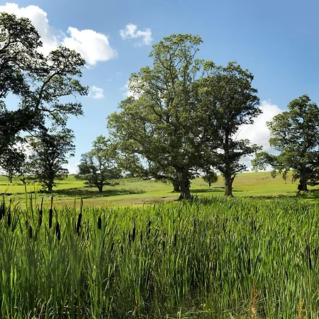 Hotel Farnham Estate And Golf