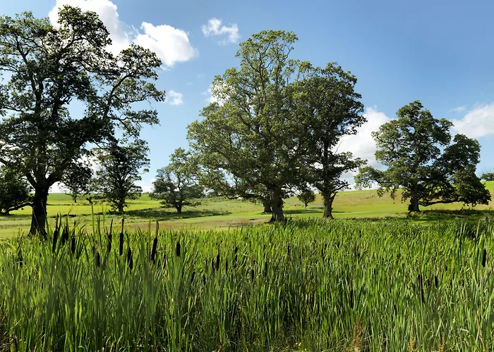 Hotel Farnham Estate And Golf Cavan