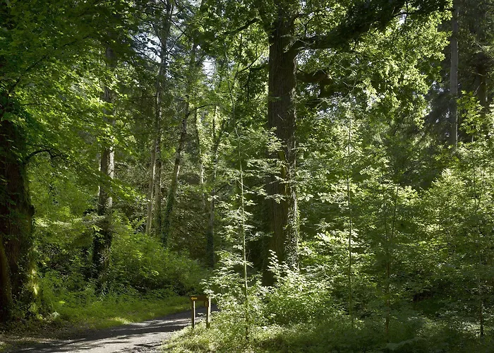 Farnham Estate And Golf Hotel Cavan