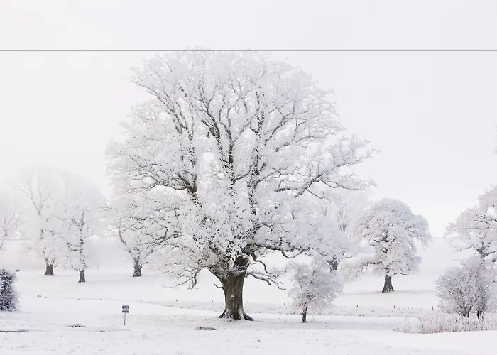 Farnham Estate And Golf 4* Cavan