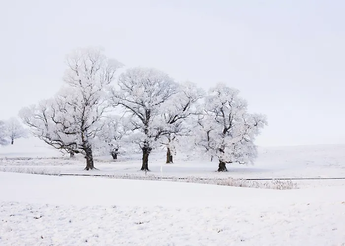 Farnham Estate And Golf Отель Каван