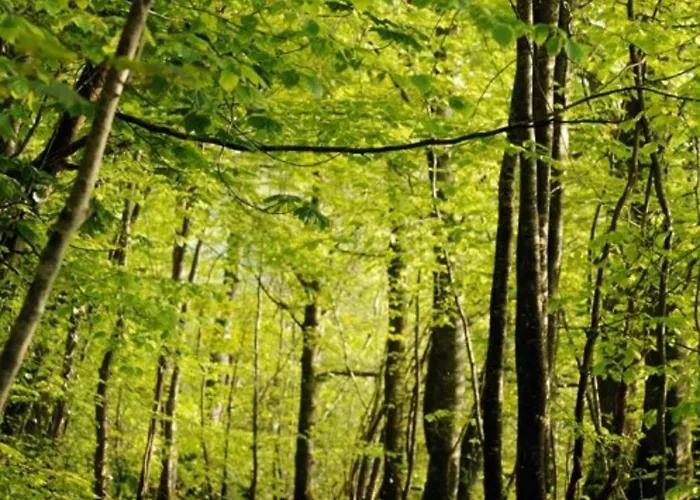 Farnham Estate And Golf Hotel Cavan