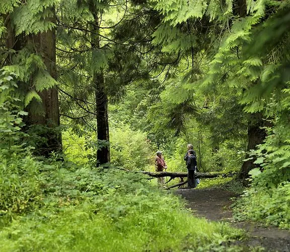 Hotel Farnham Estate And Golf