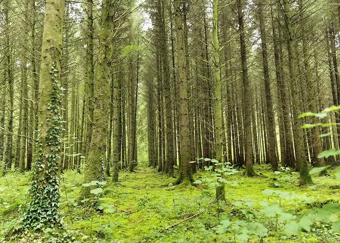 Hotel Farnham Estate And Golf 4*